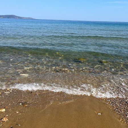 T2- 2Adultes/2Enfants Centre-Ville, Proche Plages 滨海卡瓦莱尔 外观 照片